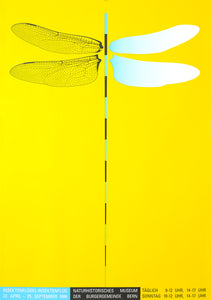 Insektenflügel - Insektenflug